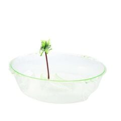 Cans Kaplumbağa Bahçesi