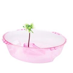 Cans Kaplumbağa Bahçesi