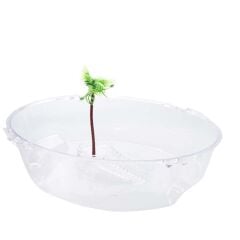 Cans Kaplumbağa Bahçesi