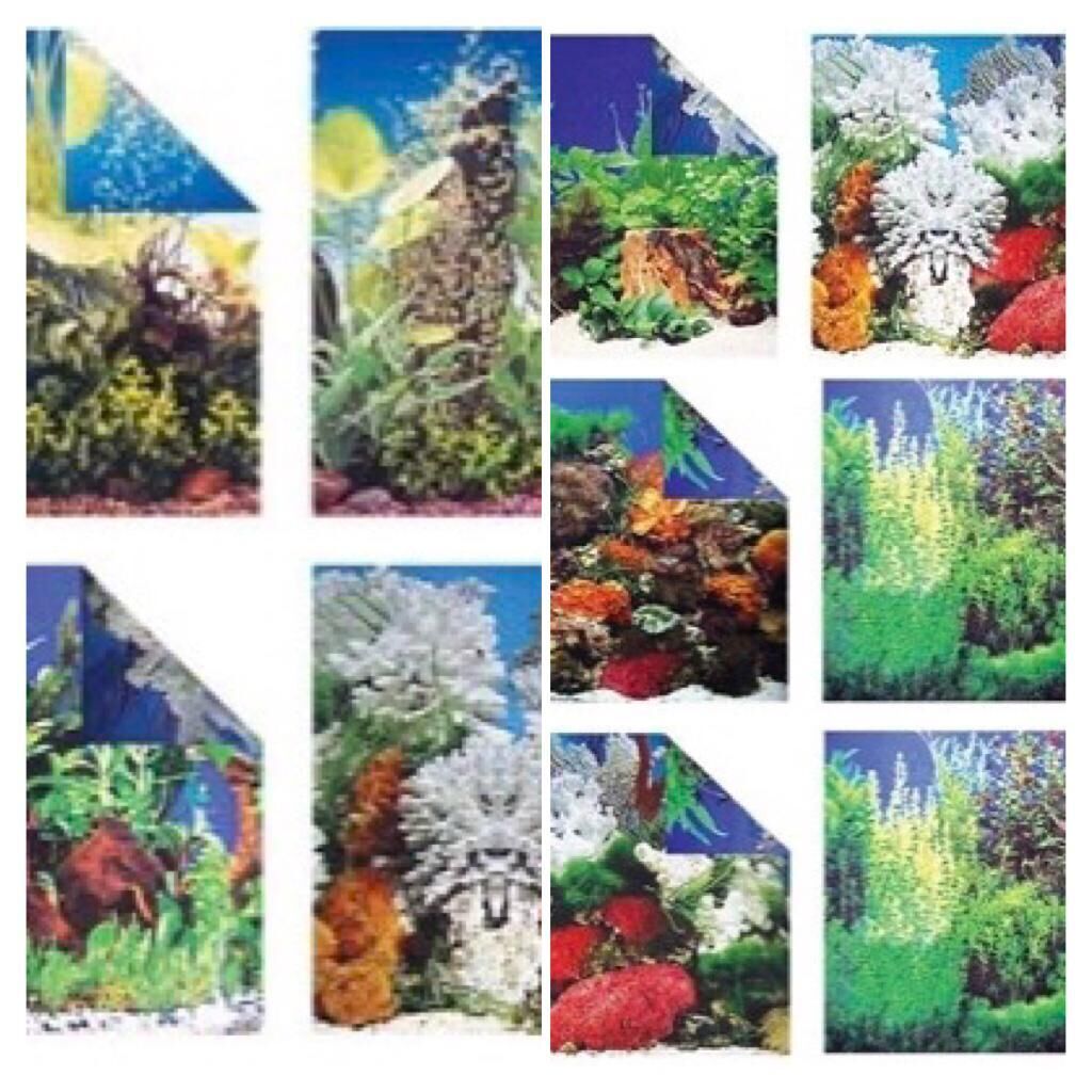 *PT-50-Plastik Manzara 15 Metre 50 Cm