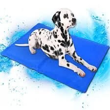 Pet Cool Mat 40x50 Serinletici Minder