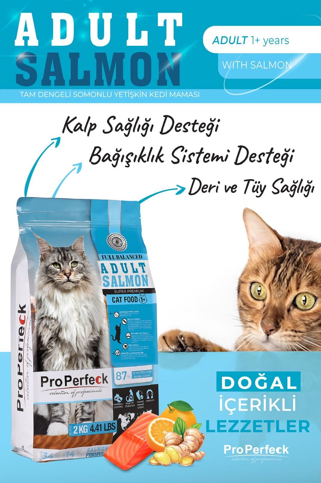 PRO PERFECK PREMİUM YETİŞKİN SOMONLU PORTAKALLI KEDİ MAMASI 10 KG