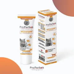 PRO PERFECK MULTİVİTAMİN PASTE 100 GR