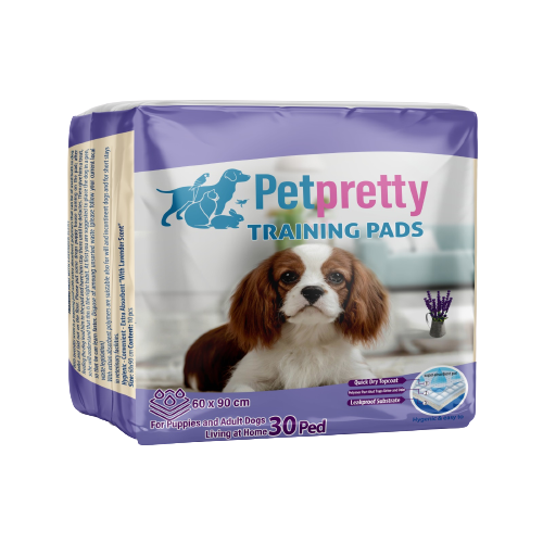 Pet Pretty Çiş Pedi 60x90 30'lu Lavantalı
