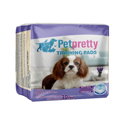 Pet Pretty Çiş Pedi 60x90 30'lu Lavantalı
