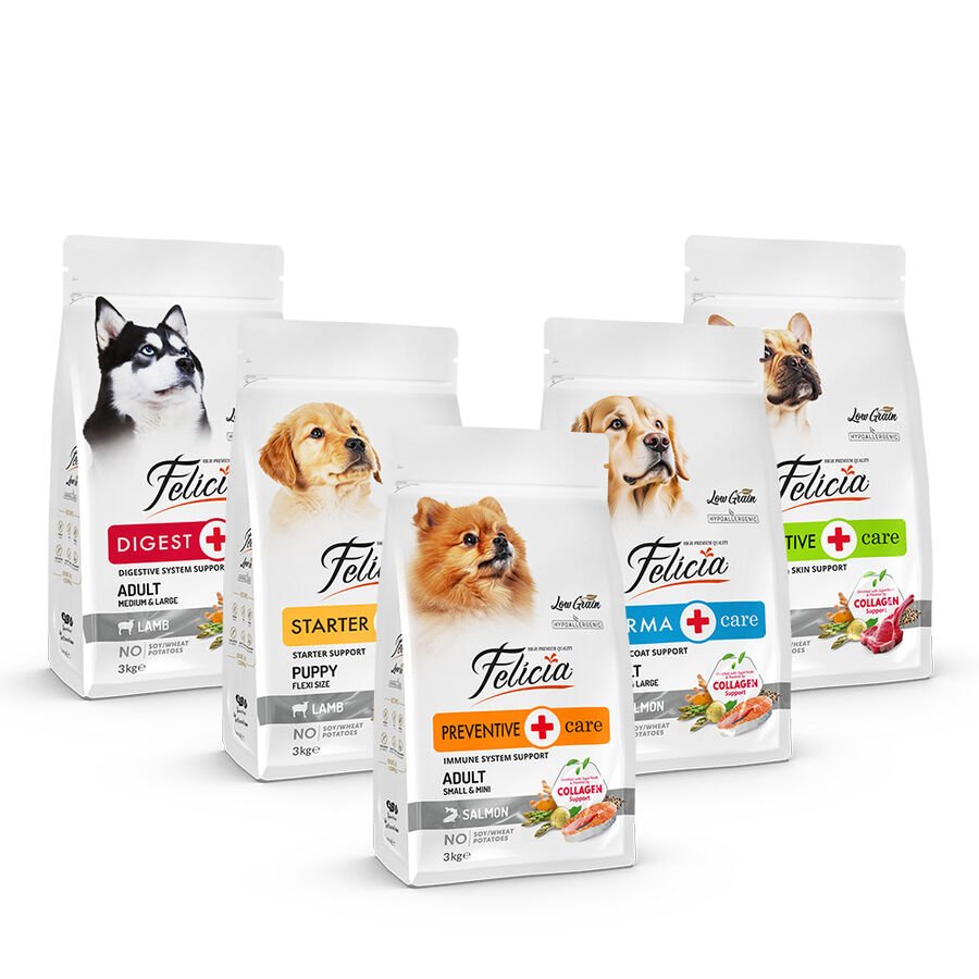 Felicia 3 Kg Kolajenli Somonlu Az Tahıllı Small/Mini Yetişkin Köpek Maması