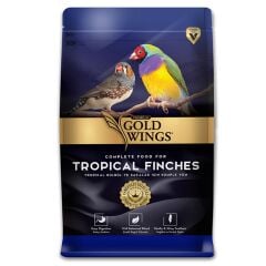GWP-008 Gold Wings Premium Bülbül 1 Kg 6'lı