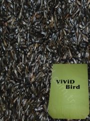 Vivid Nijer 25 Kg.