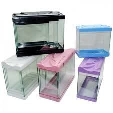 Plastik Kapaklı Akvaryum 30-35-50 3'lü Set (Sarı ve Yeşil)