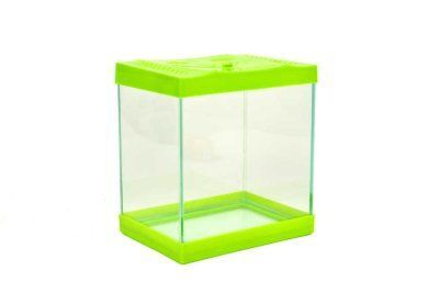 Minik Akvaryum Kare 12'li