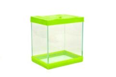 Minik Akvaryum Kare 12'li