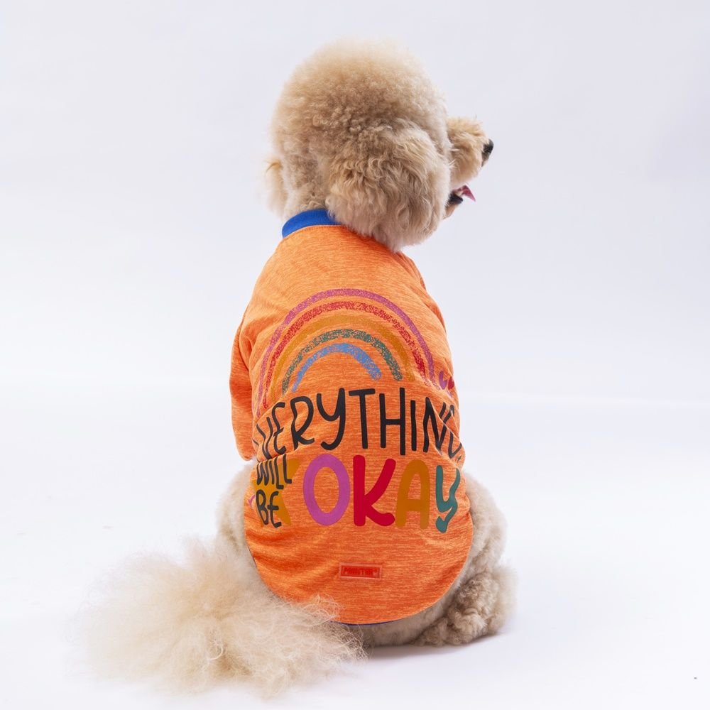 24713 Pawstar Everything Sweat Orange M-L-XL-XL-2XL(New Collection)