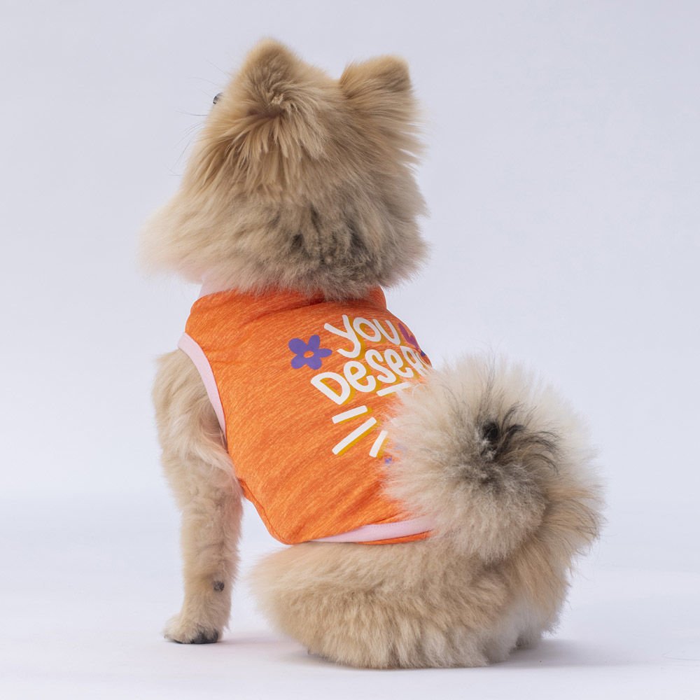 24801 Pawstar Joy T-Shirt Orange S-M-L-L-XL-2XL(New Collection)