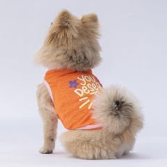 24801 Pawstar Joy T-Shirt Orange S-M-L-L-XL-2XL(New Collection)