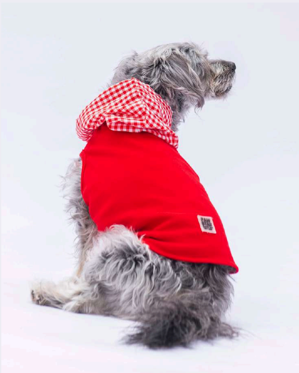 24819 Pawstar Gingham Polo T-Shirt Red S-M-L-XL-2XL(New Collection)