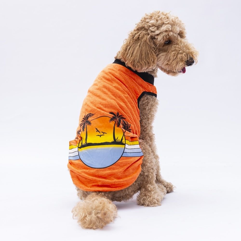 24856 Pawstar Sunrise Big T-Shirt Orange3XL-4XL-5XL-6XL-7XL(New Collection)