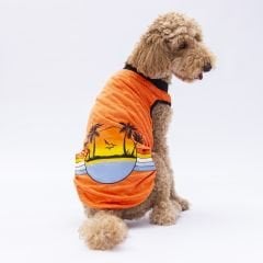 24856 Pawstar Sunrise Big T-Shirt Orange3XL-4XL-5XL-6XL-7XL(New Collection)