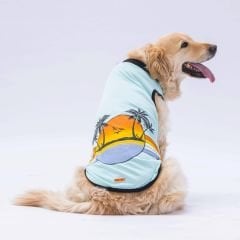 24857 Pawstar Sunrise Big T-Shirt Mint3XL-4XL-5XL-6XL-7XL(New Collection)