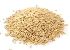 Vivid Yulaf 25 Kg.