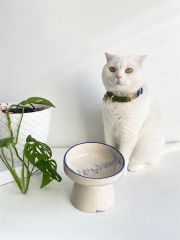 Seramik Kedi ve Köpek Mama & Su Kabı(3 Renk)