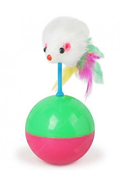 Welfare Hacıyatmaz Fareli