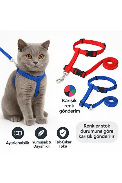 AlfCat Gögüs Tasması+Gezdirme Mix Color 6'lı