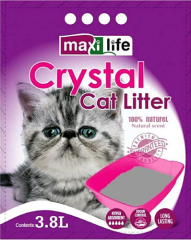 Maxilife Silica Kedi Kumu 3.8 Lt. 9'Lu
