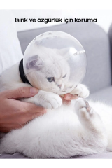 +*Lavimo Kedi Başlığı Elizabeth