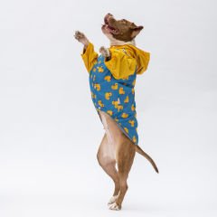 24562 Pawstar Pekin Büyük Irk Yağmurluk (2024 Winter)3XL-4XL-5XL-6XL-7XL (5 li SET)