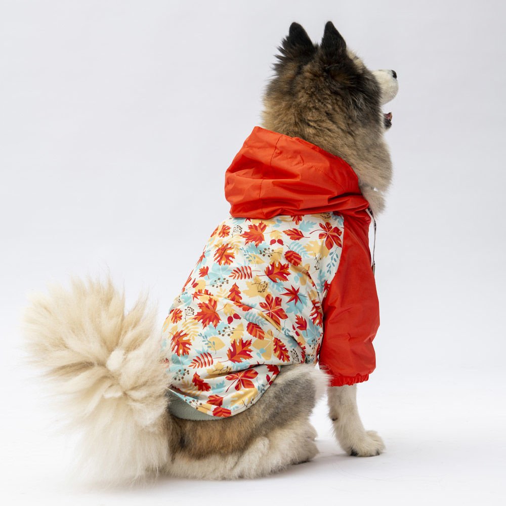 24564 Pawstar Ottawa Büyük Irk Yağmurluk (2024 Winter)3XL-4XL-5XL-6XL-7XL (5 li SET)