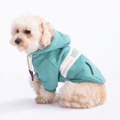 23707 Pawstar Yeşil Cute Hoddie (2024 Winter)M-L-XL-XL-2XL (5’Lİ SET)