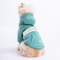23707 Pawstar Yeşil Cute Hoddie (2024 Winter)M-L-XL-XL-2XL (5’Lİ SET)