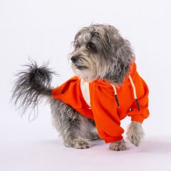 23708 Pawstar Turuncu Cute Hoddie (2024 Winter)M-L-XL-XL-2XL (5’Lİ SET)