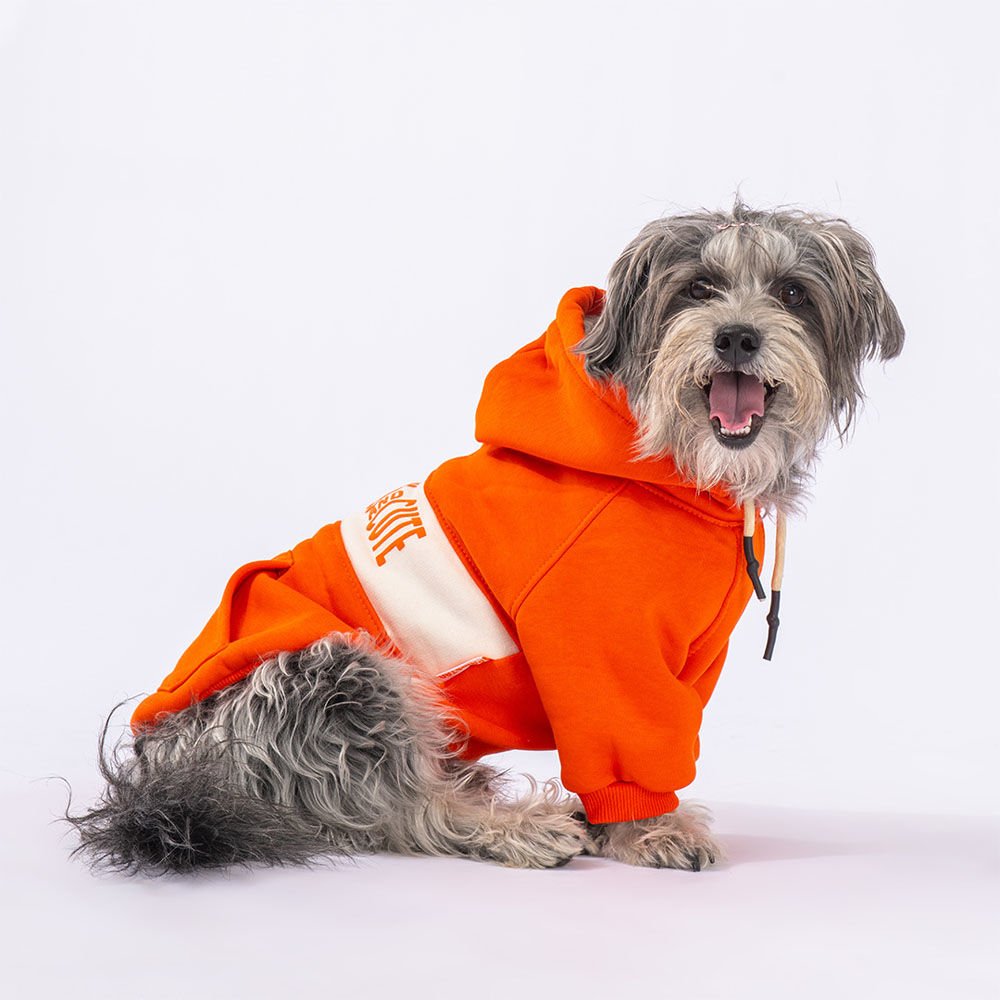 23708 Pawstar Turuncu Cute Hoddie (2024 Winter)M-L-XL-XL-2XL (5’Lİ SET)