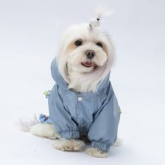 24514 Pawstar Gri Victoria Yağmurluk (2024 Winter)M-L-L-XL-2XL (5 li SET)
