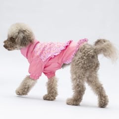 24513 Pawstar Pembe Victoria Yağmurluk (2024 Winter)M-L-L-XL-2XL (5 li SET)