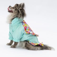 24512 Pawstar Mint Victoria Yağmurluk (2024 Winter)M-L-L-XL-2XL (5 li SET)
