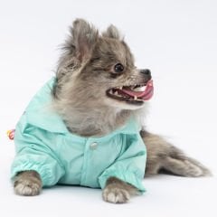 24512 Pawstar Mint Victoria Yağmurluk (2024 Winter)M-L-L-XL-2XL (5 li SET)