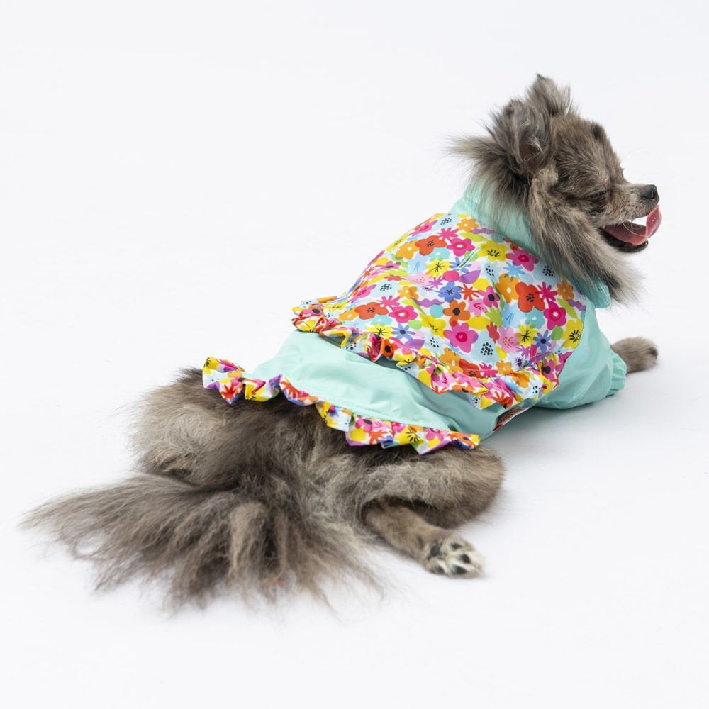24512 Pawstar Mint Victoria Yağmurluk (2024 Winter)M-L-L-XL-2XL (5 li SET)
