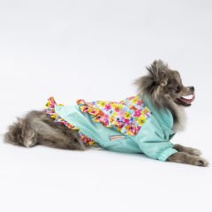 24512 Pawstar Mint Victoria Yağmurluk (2024 Winter)M-L-L-XL-2XL (5 li SET)