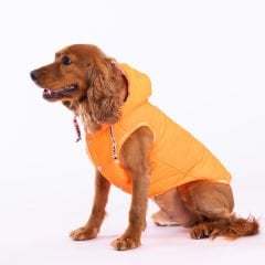 23107 Pawstar Neon Turuncu Railway Yelek(2024 Winter)M-L-XL-XL-2XL (5’li SET )