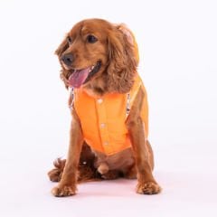 23107 Pawstar Neon Turuncu Railway Yelek(2024 Winter)M-L-XL-XL-2XL (5’li SET )