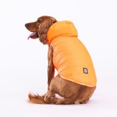 23107 Pawstar Neon Turuncu Railway Yelek(2024 Winter)M-L-XL-XL-2XL (5’li SET )