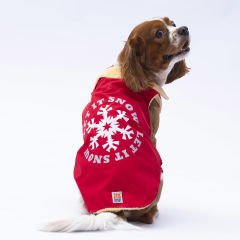 24109 Pawstar Kırmızı Yukon Yelek (2024 Winter)S-M-L-XL-2XL (5 li SET)