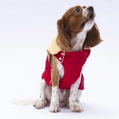 24109 Pawstar Kırmızı Yukon Yelek (2024 Winter)S-M-L-XL-2XL (5 li SET)
