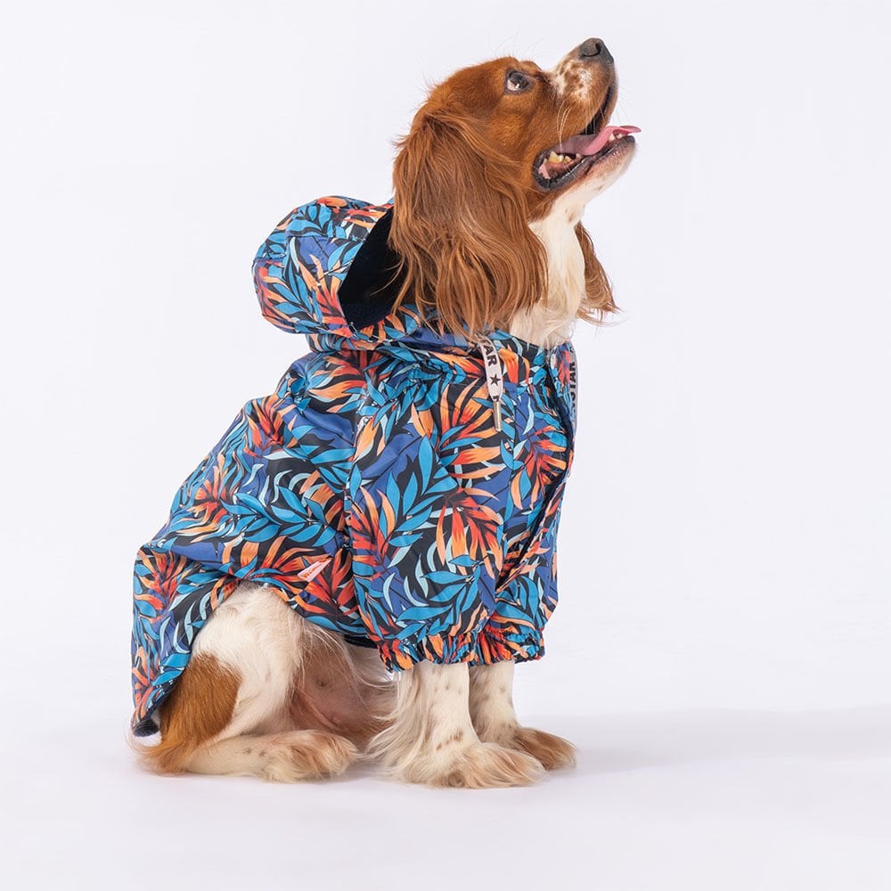23502 Pawstar Autumna Yağmurluk (2024 Winter)M-L-XL-XL-2XL (5’li Set)