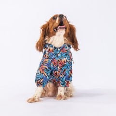 23502 Pawstar Autumna Yağmurluk (2024 Winter)M-L-XL-XL-2XL (5’li Set)