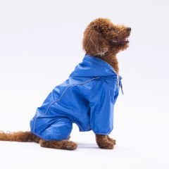 24502 Pawstar Sax Mavi Muson Tulum (2024 Winter)M-L-L-XL-2XL (5 li SET)
