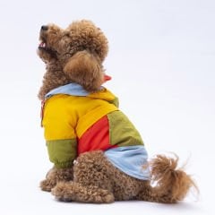 24527 Pawstar Vivid Kauai Yağmurluk (2024 Winter)M-L-L-XL-2XL (5 li SET)