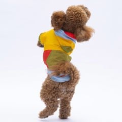 24527 Pawstar Vivid Kauai Yağmurluk (2024 Winter)M-L-L-XL-2XL (5 li SET)
